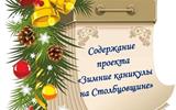 ПРОЕКТ Зимние каникулы на Столбцовщине_pages-to-jpg-0003